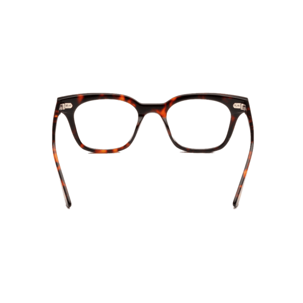 Hi - Fi 2.0 Optical / Tortoise Acetate & Blue - Light Lens - Shade Files